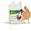 AVIANVET Digestivo parassiti galline | Integratore digestivo naturale con origano, aglio e rosmarino, equilibrio intestinale e benessere digestivo nei pollame, 200 ml