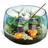 CLEMENTONI - Harry Potter - Terrarium (19286)