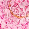 Miofula Petali di Rosa San Valentino per Lei, Rosa Eterna Proposta di Matrimonio Decorazione di Fidanzamento per Romanticismo, Decorazione di Nozze Anniversario Natale, Rose Rosa Idee Regalo Donna Compleanno