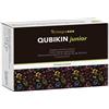 SITAR ITALIA SRL QUBIKIN JUNIOR 20BUST KINTEGRA