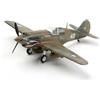 LeeQinersw Aerei Militari Modello Fighter P-40 Assemblabile Glue Parti Separate Plastica Decorazione Adatto per Collezionisti Esposizione Museale Studio Esposizione da, Flying Tigers Panda
