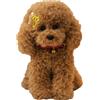 HOMEXYLYL Animale di pezza barboncino, peluche realistico for cani soffici | Simpatico peluche for ragazzi e ragazze, cucciolo realistico(Brown,30cm/12in)