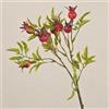 artplants.de Ramo di rosa canina artificiale VIVEKA, rosso, 50 cm | con cinorrodi - Ramo di cinorrodi artificiale
