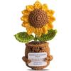 FOSDICK Positive Peluche Girasole, Patata Positiva Uncinetto, Positive Fiori Finti Supporto Emotivo, Peluche Motivazionale con Carta, Pocket Hug Positive Girasole Regalo per Famiglia Amici Collega