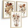 Nacnic Set Di 3 Stampe Anatomia Umana Floreale Vintage Poster E Quadri Con Cuore Gabbia Toracica E Pelvi Decorazione Da Parete Medica Dimensione A4 Senza Cornice