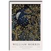 MEIXI MOBILE William Morris - Stampa su tela, motivo: luna e stelle, stampa William Morris Exhibition William Morris Poster Vintage Art Textile Art Soggiorno Camera da letto decorazione per la casa, 30 x 45 cm