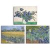 PIY PAINTING 3 Pannelli Fiori Vintage Stampe da Parete, Van Gogh Quadri con Cornice, Iris Quadro Moderno Soggiorno, Dipinto Su Tela per Camera Bagno Corridoio, Riproduzione Di Dipinti Famosi,30×40cm
