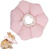 Generico Cat Cone for Recovery Morbido Regolabile Impermeabile a Forma di Ciambella | Animali Cuccioli Gatto Cane Coniglio per Protezione Ferite , Cuccioli, Cani, Conigli, Criceti, Furetti, Piccoli Animali