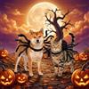 Comioke Costume da Ragno per Cane Gatto Nero Costume da Ragno di Furry Scary Vestito Halloween Cane per Cuccioli Regolabili Vestito Cosplay di Animali Domestici Feste di Natale Halloween