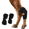 IECOii 2 protezioni per articolazioni per cani, supporto per le articolazioni del cane ACL, tutina per gomiti per cani, protezione contro le perdite, protezione post-operatoria per zampe (nero, L)