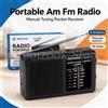 NONE Radio portatile FM/AM con sintonizzazione manuale, alimentazione a corrente continua, ingresso ausiliario e antenna telescopica, ideale per casa, viaggi e uso quotidiano.