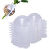 Generico 10 Pezzi Germogliatore Radicante per Talee e Piante, Grow Box per Propagazione con Margotta Aerea, Semenzaio Germinazione Riutilizzabile per Innesti, Alberi e Fiori