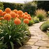 DFTKMJSY Raro Allium gigante - Perfetto per vasi da patio e composizioni in vaso; richiede poca manutenzione ed è di facile gestione-6 PCS-A