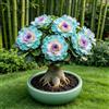 IFGFJR Rosa del Deserto Rara/Perenne Resistente/Rizoma di Rosa del Deserto/Rara/Bassa Manutenzione/Decorazione d'Interni-4bulbi-F