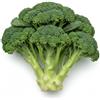 Generico Semi di Cavolo Broccolo Ramoso Calabrese Natalino 6g | Alta Germinazione | Varietà Invernale Produttiva | Semi da Orto per Raccolto Autunnale e Invernale | Made in Italy