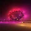 Philips by Signify Philips Hue White and Color ambiance Stringa di luci Festavia