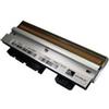 Zebra P1004237 testina stampante Trasferimento termico