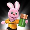 Duracell 5000394055995 batteria per uso domestico Batteria ricaricabile D Nichel-Metallo Idruro (NiMH)