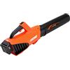 Echo Soffiatore a batteria ECHO DPB-310 + batteria 40V 4Ah e caricabatteria