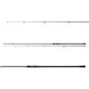 DAIWA Black Widow XT Stalker Carp 3,00m, 10 Piedi, 2,00lbs, 2 Sezioni, 40mm Anello de Partenza, Canna da Pesca alla Carpa
