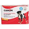 Benessere Farmacia Pannolini a fascia cani maschi misura 1 12 pezzi