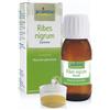 Boiron RIBES NIGRUM GEMME MACERATO GLICERICO 60 ML