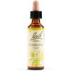 SCHWABE PHARMA ITALIA Srl - CLEMATIS BACH ORIG 20 ML