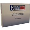 BIOFARM Sas - GUARIDOL OSTEO ART 33 G