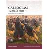 Fergus Cannan Braniff Galloglass 1250-1600 (Tascabile) Warrior