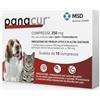 MSD ANIMAL HEALTH Panacur 250 Mg - Farmaco Veterinario Antiparassitario 10 Compresse