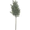 BIZZOTTO RAMO PINO ZWALM VERDE GHIACCIATO H64CM