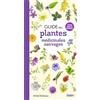 Belin Guide des plantes médicinales sauvages