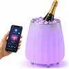 BAKAJI Glacette Secchiello Ghiaccio 3in1 Luci LED e Cassa Bluetooth Portaghiaccio 5L