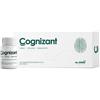 MC Stone Italia - Cognizat - Integratore a base di colina e vitamina B12