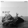 Delta Spirit What Is There (Cassette)