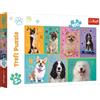 TREFL PUZZLE TREFL 100 Nel mondo dei cani 16421