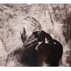 low roar once in a long long while (CD)