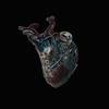 Seamus Blake Guardians of the Heart Machine (CD) Album
