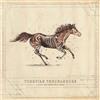 Turnpike Troubadours A Long Way from Your Heart (CD) Album