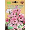 Germisem Biologico Lavatera Trimestris Semi di Malva 1 g