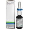 Chiesi Farmaceutici Rinoclenil 100 mcg Spray nasale 30 ml da 200 erogazioni