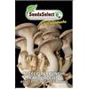 SeedsSelect MICELIO PER FUNGHI CARDONCELLO BUSTINA GR 25 SEMENTI SEMI