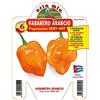 3 PIANTE IN VASO Ø10CM DI PEPERONCINO PICCANTE HABANERO ARANCIO ORTO ORTOMIO