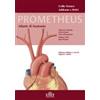 Utet Medica PROMETHEUS: Atlante di Anatomia. Collo, Torace, Addome e Pelvi: 2