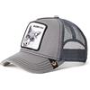 Goorin Bros. 47 - Casa Colore MVP, Cappellino da Baseball Unisex - Adulto