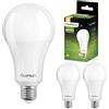 Lumiled Lampadine a LED A95, E27, 24 W, sostituiscono 200 W, 3452 lm, 3000 K, luce bianca calda, set da 3 pezzi
