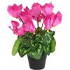 Flair Flower Ciclamino artificiale in vaso, fiore decorativo, pianta decorativa, primavera e primavera, fiore artificiale, pianta di primula, primula, fiore di seta