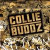 Collie Buddz Collie Buddz Clean Version (CD)
