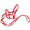 PETSOLA Halter Regolabile in Nylon di Set Halter e Corda di Guida Robusto Set Cavezza con Corda Guida per Addestratori Equestri
