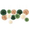 Capesaro Olive Salvia Verde 12pcs Carta Pom Poms Party Decorazioni per feste naturali boho safari giungla festa in carta velina fiori per impegno, matrimonio, baby shower
